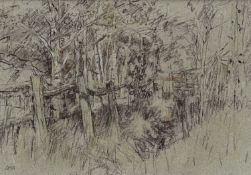 ‡ DIANA ARMFIELD RA mixed media, pastel - entitled verso 'Cabin Among the Aspens', signed with