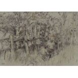 ‡ DIANA ARMFIELD RA mixed media, pastel - entitled verso 'Cabin Among the Aspens', signed with