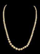 GRADUATED PEARL NECKLACE, having 18ct gold diamond set clasp Provenance: private collection Swansea,