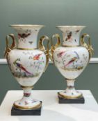 PAIR OF EMPIRE-STYLE PORCELAIN VASES, probably Paris, decorated with exotic birds, insects and