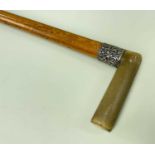 HORN HANDLED WALKING CANE with hallmarked silver collar and brass tip, 89cms long
