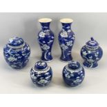 CHINESE PRUNUS BLOSSOM TYPE DECORATED ASSORTMENT - to include a pair of vases, 30cms tall, a pair of