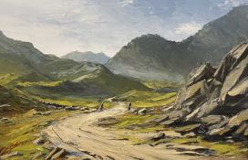 STAN BENNETT oil on board - Snowdonia landscape with track to the foreground, signed, 49 x 74cms