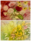 JOAN CONNELL watercolours (2) - study of Montbretia and Peony leaves, signed and dated 1998, 55 x