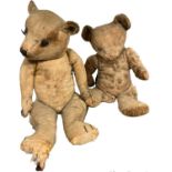 Two vintage teddy bears