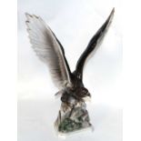 Royal Belvedere Vienna porcelain large Eagle