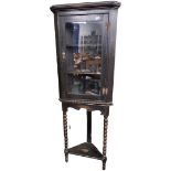 Early 20th Century Glazed Oak Corner Cabinet