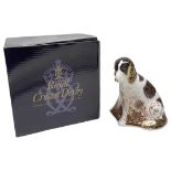 Royal Crown Derby Molly Dog Paperweight