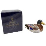 Royal Crown Derby Duck Paperweight