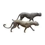 Patinated Hollow Cast Bronze, pair of Cheetahs