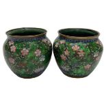 A Pair of Small Japanese cloisonne pots (2)