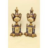 A Pair of Small Sevres Style Vases