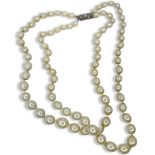 Synthetic Pearl and Silver Clasp Necklace, 16 inches long