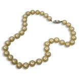 Synthetic Pearl and Sterling Silver Clasp Necklace, 15 Inches Long