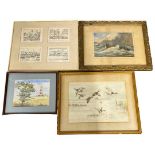 2 Victorian Watercolours of Brent Geese and a Life Boat and 2 others (4)