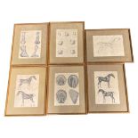 Horse Interest. Set of 6 Farriery Prints