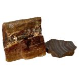 2 Polished Stone Pieces - Tiger Iron from Western Australia and Petrified Wood