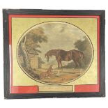 An 18th Century hand coloured print after C Ansell: The mare and foal. In an antique frame.