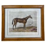 19th Century Print of Blair Atholl Winner of the Derby in 1864. Antique frame with gold slip.