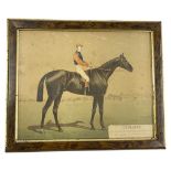 Late 19th Century Print of Insulaire, Winner of the Prix du Jockey Club (French Derby) Framed