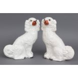 Paar Staffordshire Keramik Hundefiguren