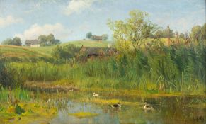Teichlandschaft mit Enten