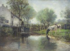 Kühe am Teich