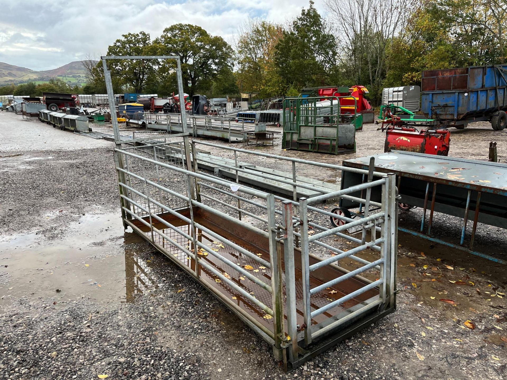 SHEEP FOOTBATH 8X4