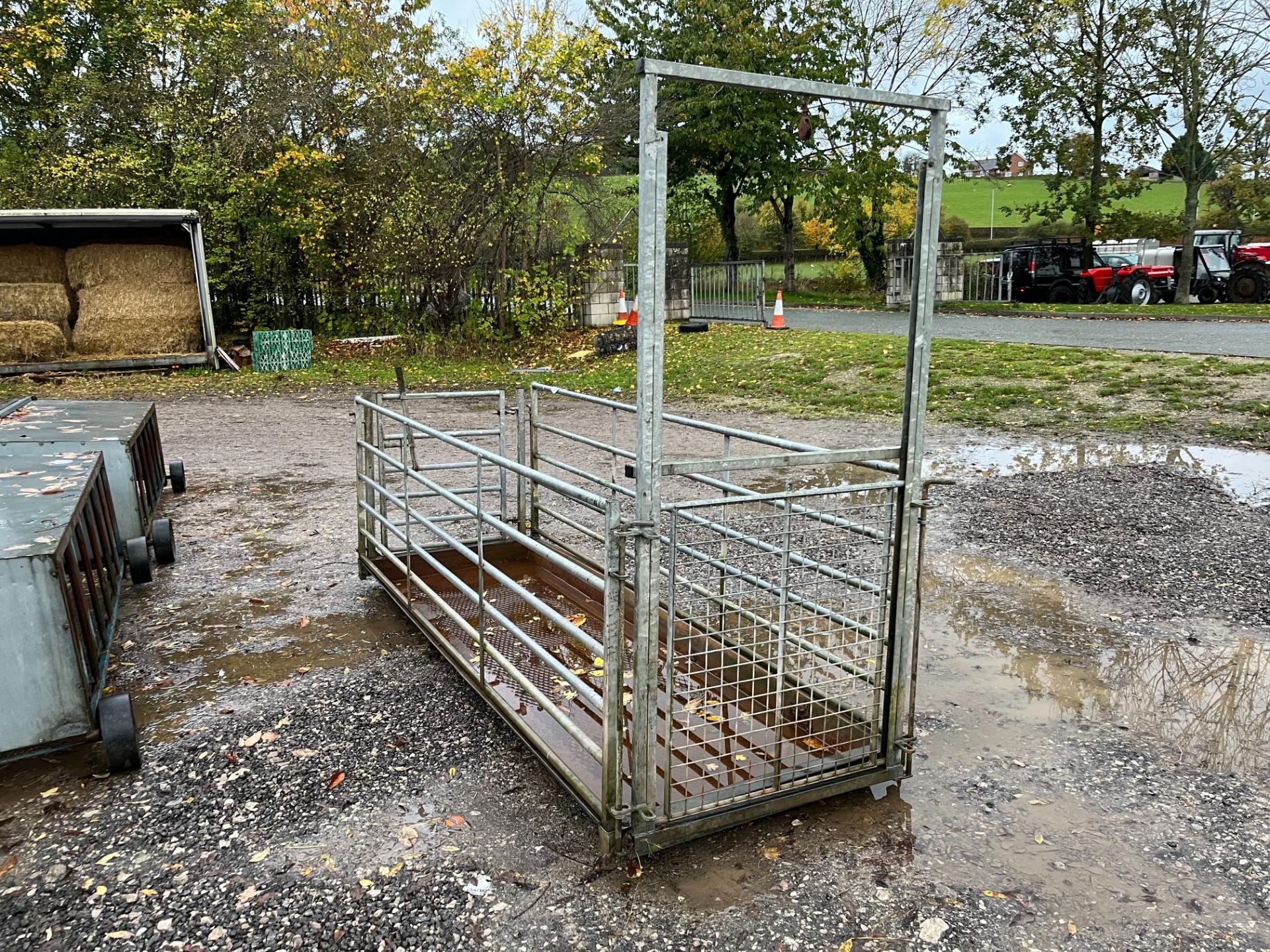 SHEEP FOOTBATH 8X4 - Image 3 of 3