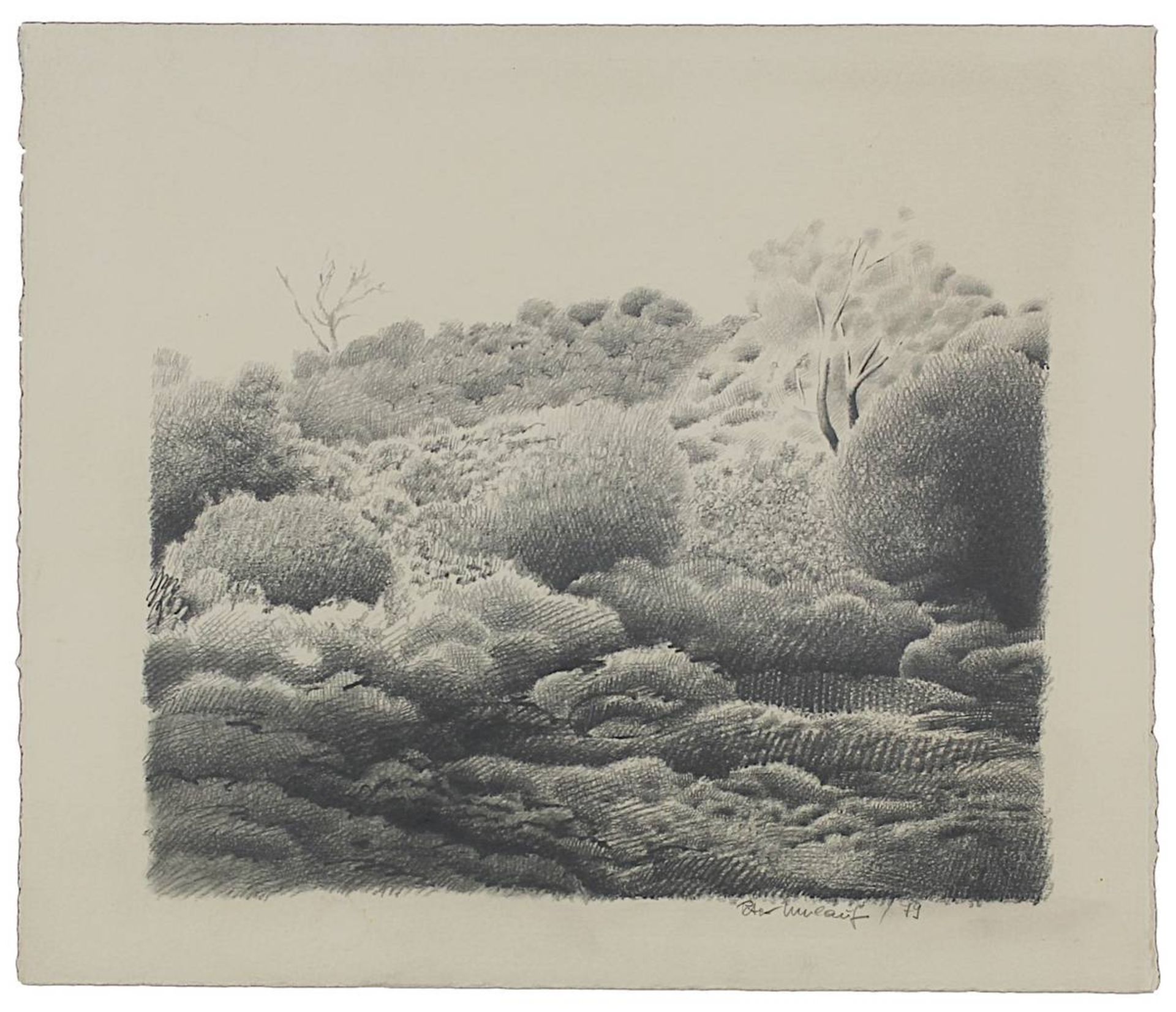 Umlauf, Peter (geb. 1938 Leipzig), hügelige Landschaft, Graphitzeichnung, am unt. Rand sign. u. - Bild 2 aus 2
