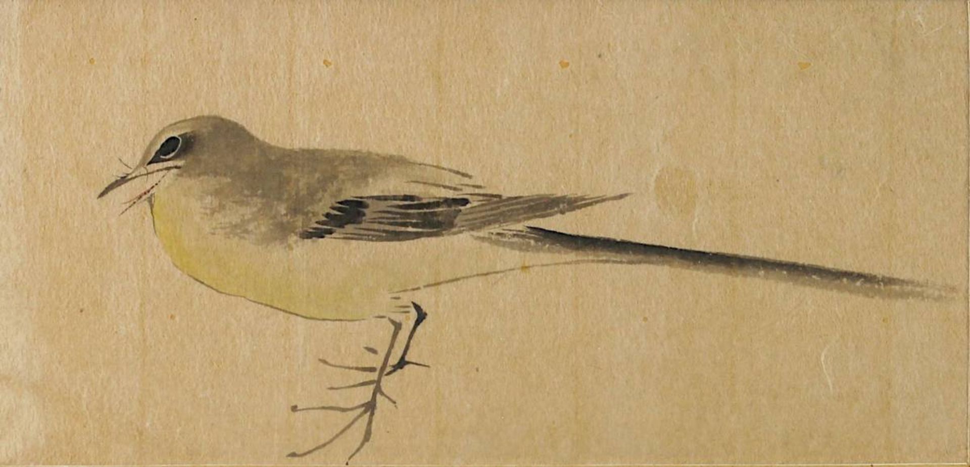 Japanischer Künstler um 1800, Vogel, farbige Tuschzeichnung, 10 x 20,5 cm, Papier etwas gebräunt, - Bild 2 aus 2