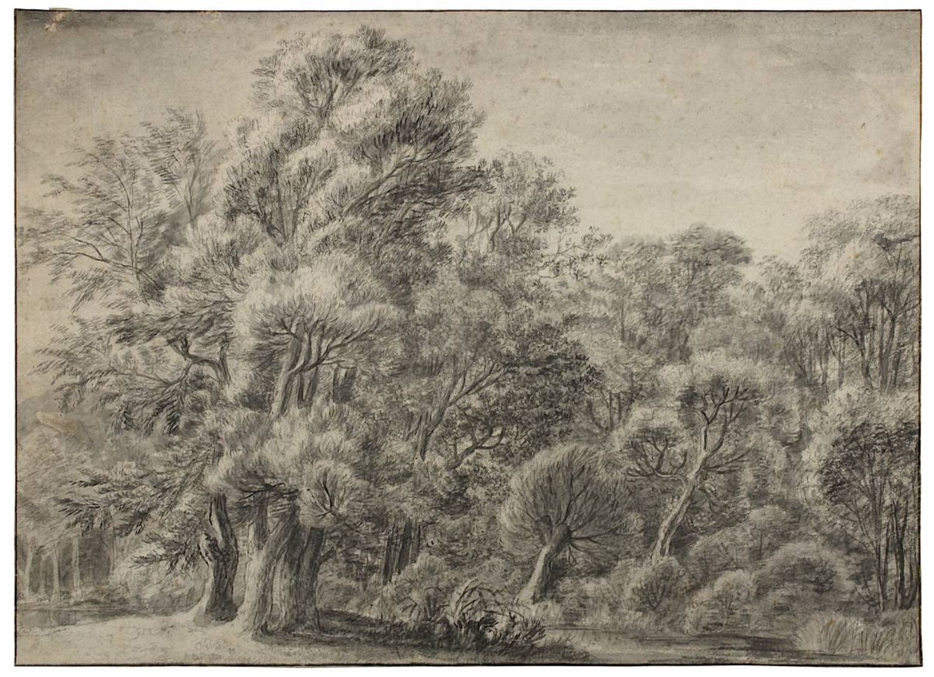 Schellinks, Daniel (Amsterdam 1627-1701 Amsterdam), attr., Waldlandschaft, Graphit u. Tusche auf