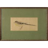 Japanischer Künstler um 1800, Vogel, farbige Tuschzeichnung, 10 x 20,5 cm, Papier etwas gebräunt,