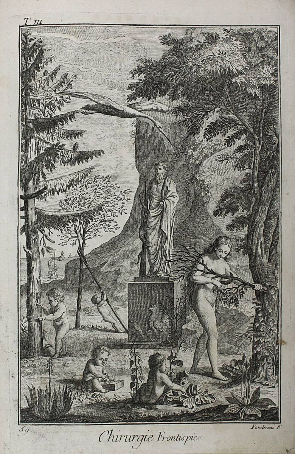 Fambrini, Ferdinand: Chirurgie, Lucca 1764, 29 von 36 Kupfertafeln mit den Erläuterungen zu den