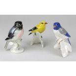 Drei Singvögel, Porzellanfiguren deutsch 2. H. 20. Jh., alle farbig staffiert, bestehend aus: