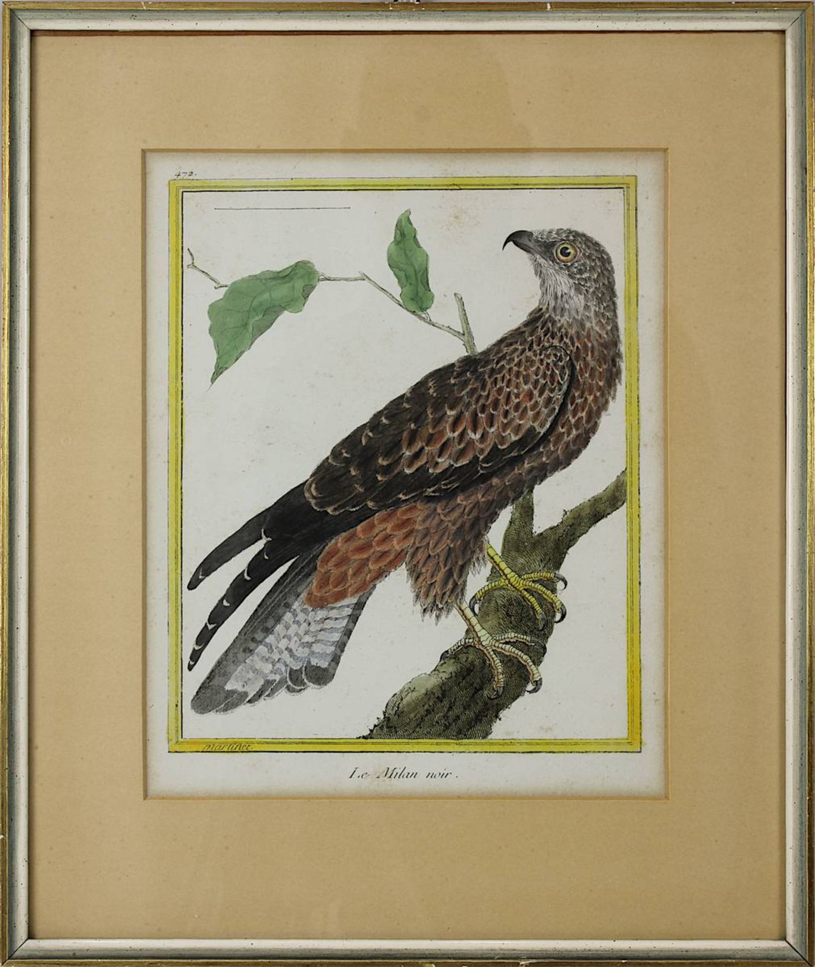 Drei kolorierte Kupferstiche aus Buffon´s Naturgeschichte der Vögel um 1770 bzw. 1809: "Le Milan - Bild 2 aus 7