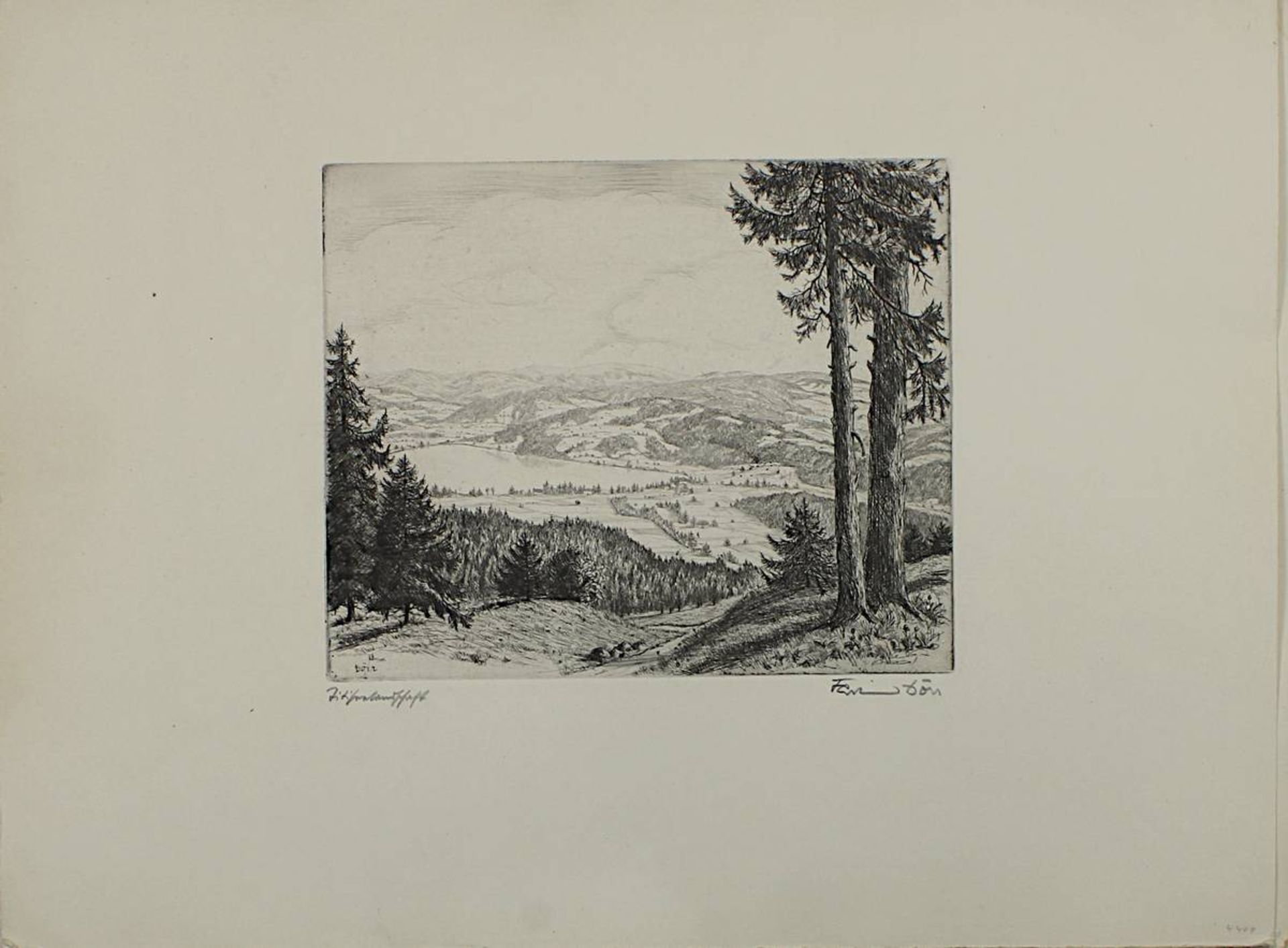 Dörr, Ferdinand (Bad Dürrheim 1880 - 1968 Karlsruhe), Sechs Radierungen mit Schwarzwaldansichten, - Bild 6 aus 7