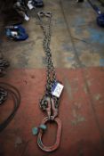 Twin Leg Lifting Chain