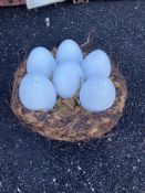 Nest, with six eggs, approx. 1m dia. (Container 5)