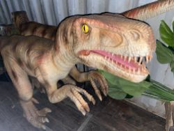 Animatronic Dinosaurs, Dinosaur Rides & Costumes, Animatronic Dragon & Dragon Ride, Christmas Elf, 40ft Shipping Containers, IT Eqpt