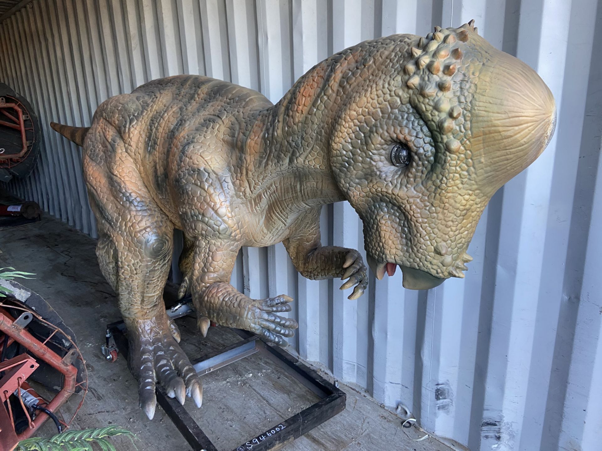 ANIMATRONIC PACHYCEPHALOSAURUS 1.6m high, track no