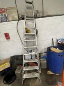 Werner Ten Rise Alloy Stepladder