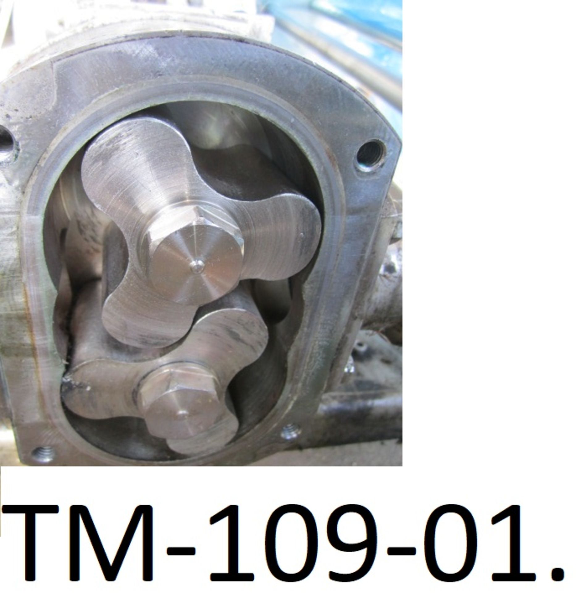 ITT Pureflo 24050 Stainless Steel Lobe Pump Set, with 32mm ports, 1.5kW geared drive, on a - Image 2 of 4