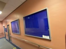 Four Enclosed Notice Boards (Hallway - 213)