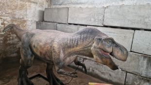 Animatronic Tyrannosaurus 5m long, 1.5 m high, constructed from quality steel structure, high-