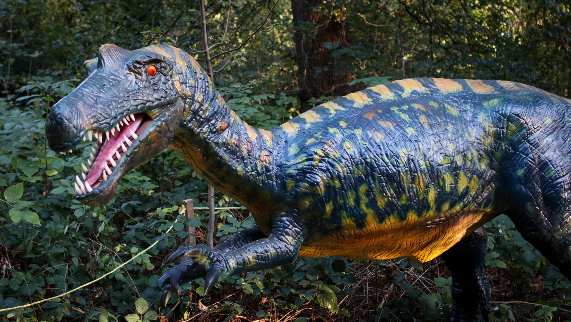 Baryonyx 2.5m long, 1.4m high, constructed from quality steel structure, high-density sponge and - Image 2 of 4