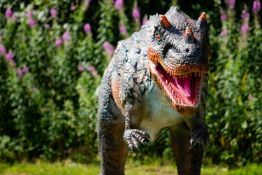 Animatronic Ceratosaurus 5m long, constructed from quality steel structure, high-density sponge