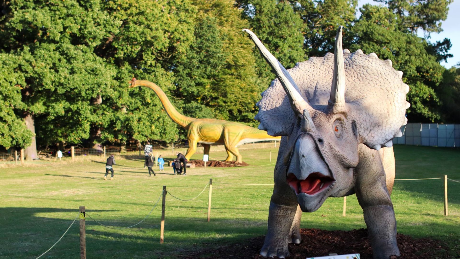 Animatronic Triceratops 8m long, 3 m high, constructed from quality steel structure, high-density