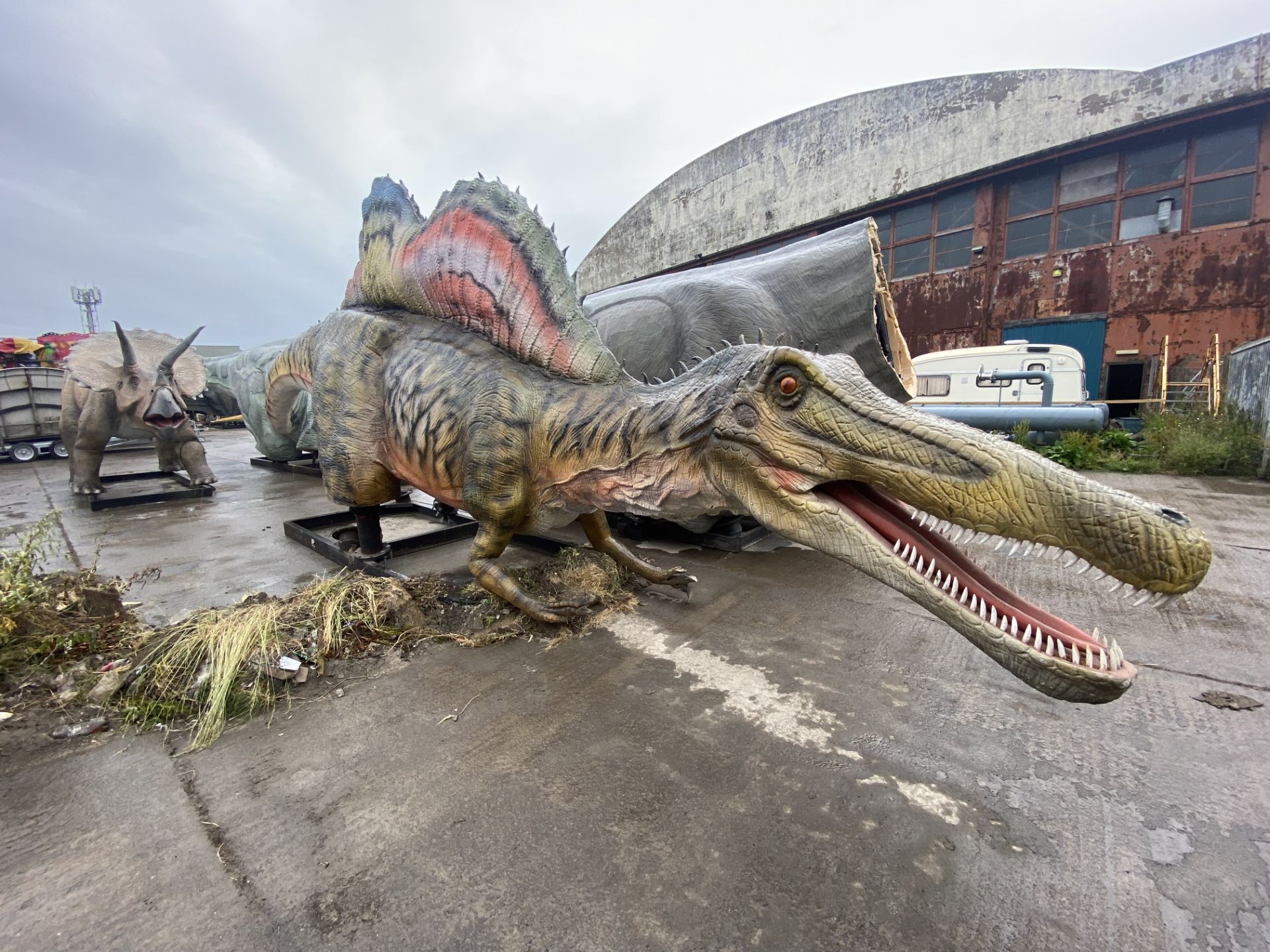 Animatronic Spinosaurus 12m long, 6 m high, constructed from quality steel structure, high-density - Image 5 of 6