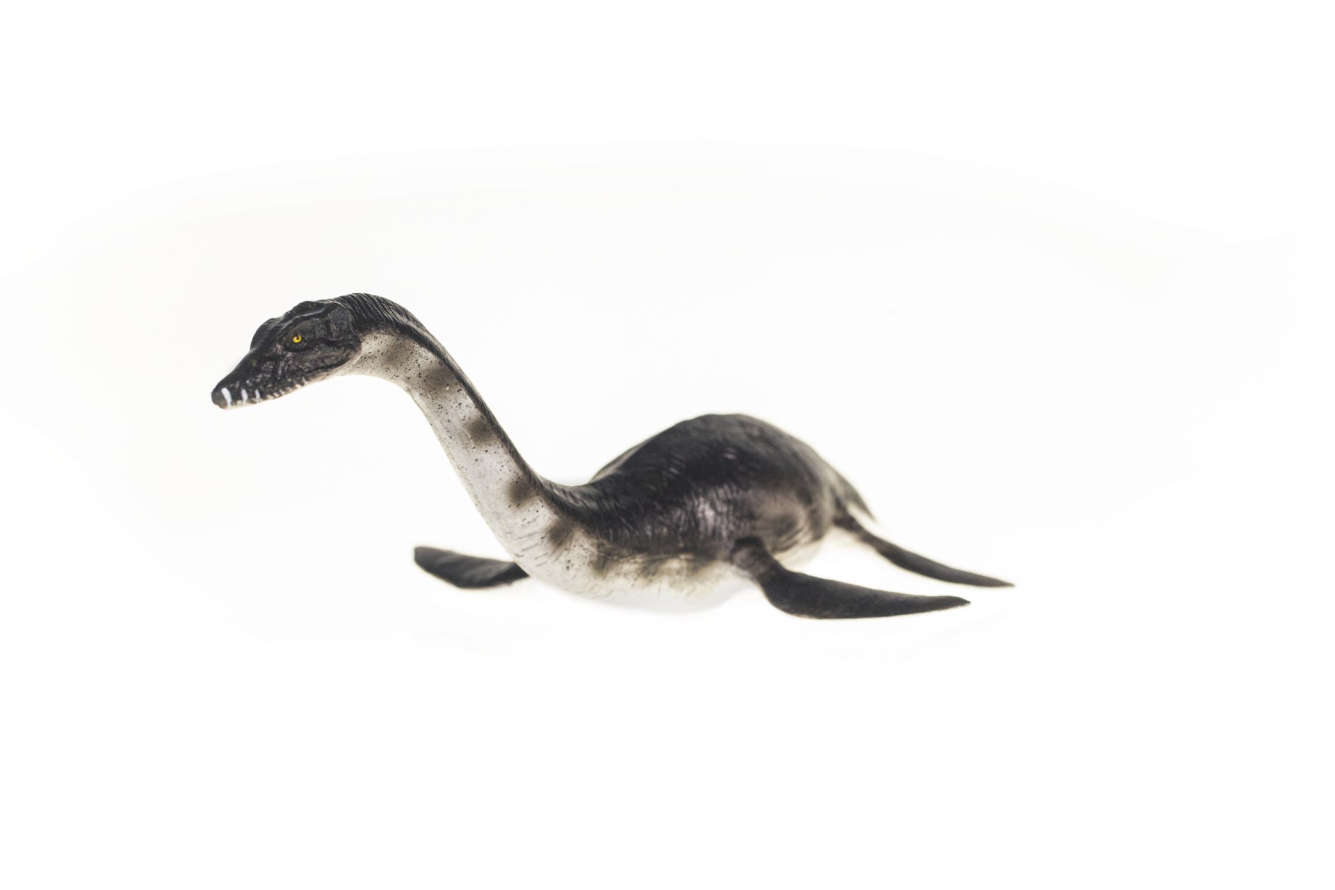 Quantity of Dinosaur-related hard and soft toy merchandise including Black Plesiosaurus, Blue - Image 64 of 64